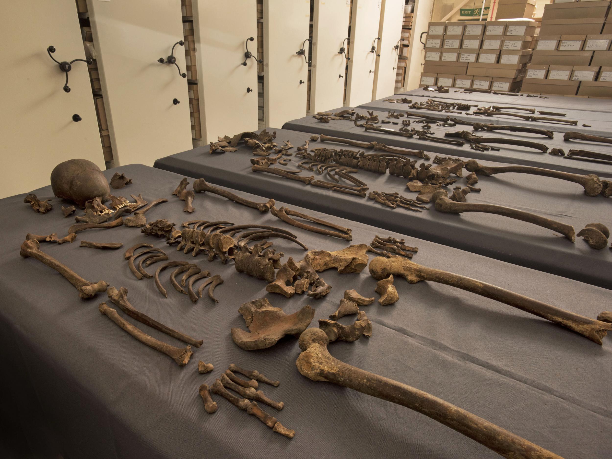 The skeletons were found to contain plague bacteria yersina pestis