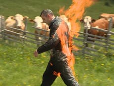 New Guinness World Records: From a leaping llama to being set on fire