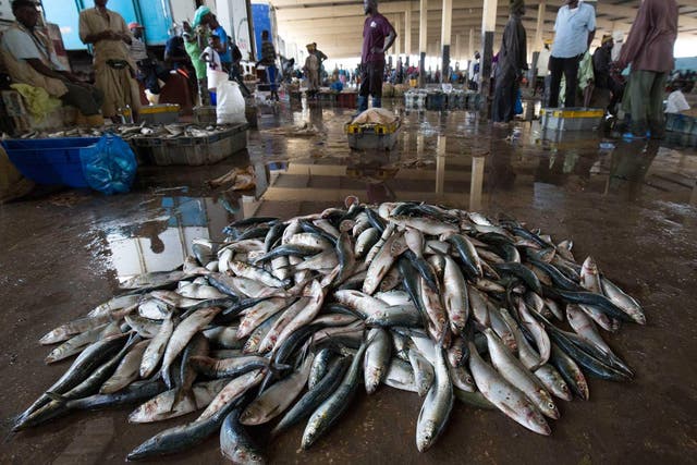 Fish landings are seen on the floor of Joal market