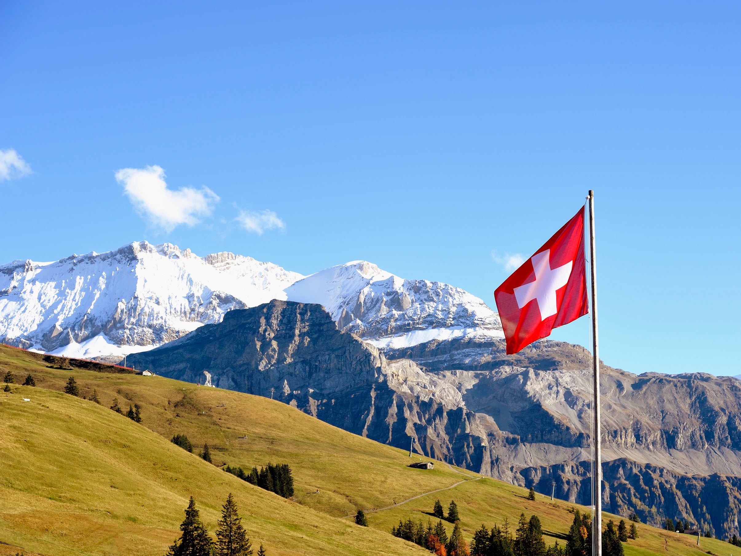 Switzerland is a member of the European Free Trade Association but not the EU