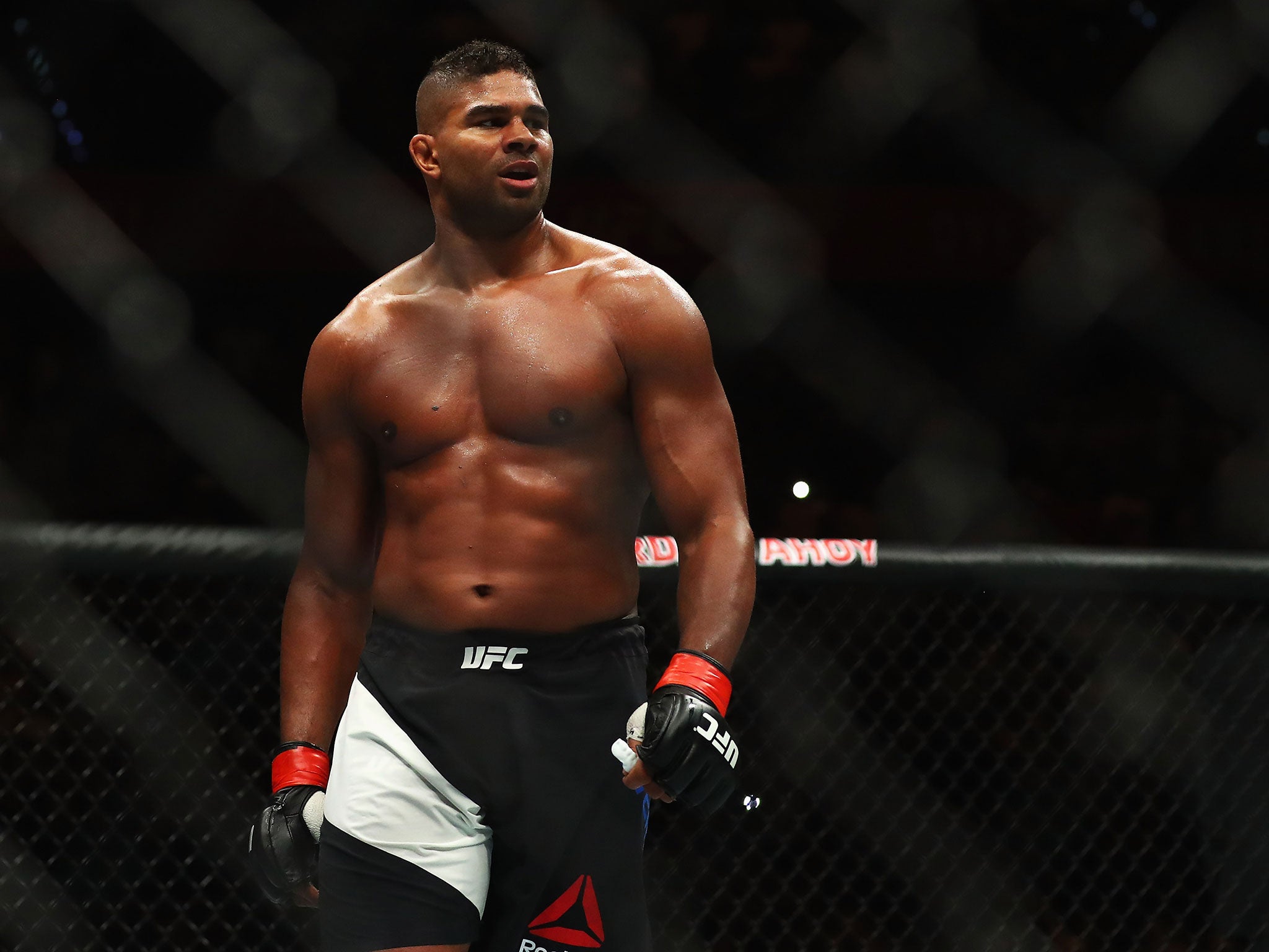 &#13;
Alistair Overeem &#13;