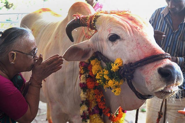 Many Hindus consider cows sacred and the slaughter of the animal is banned in a number of states