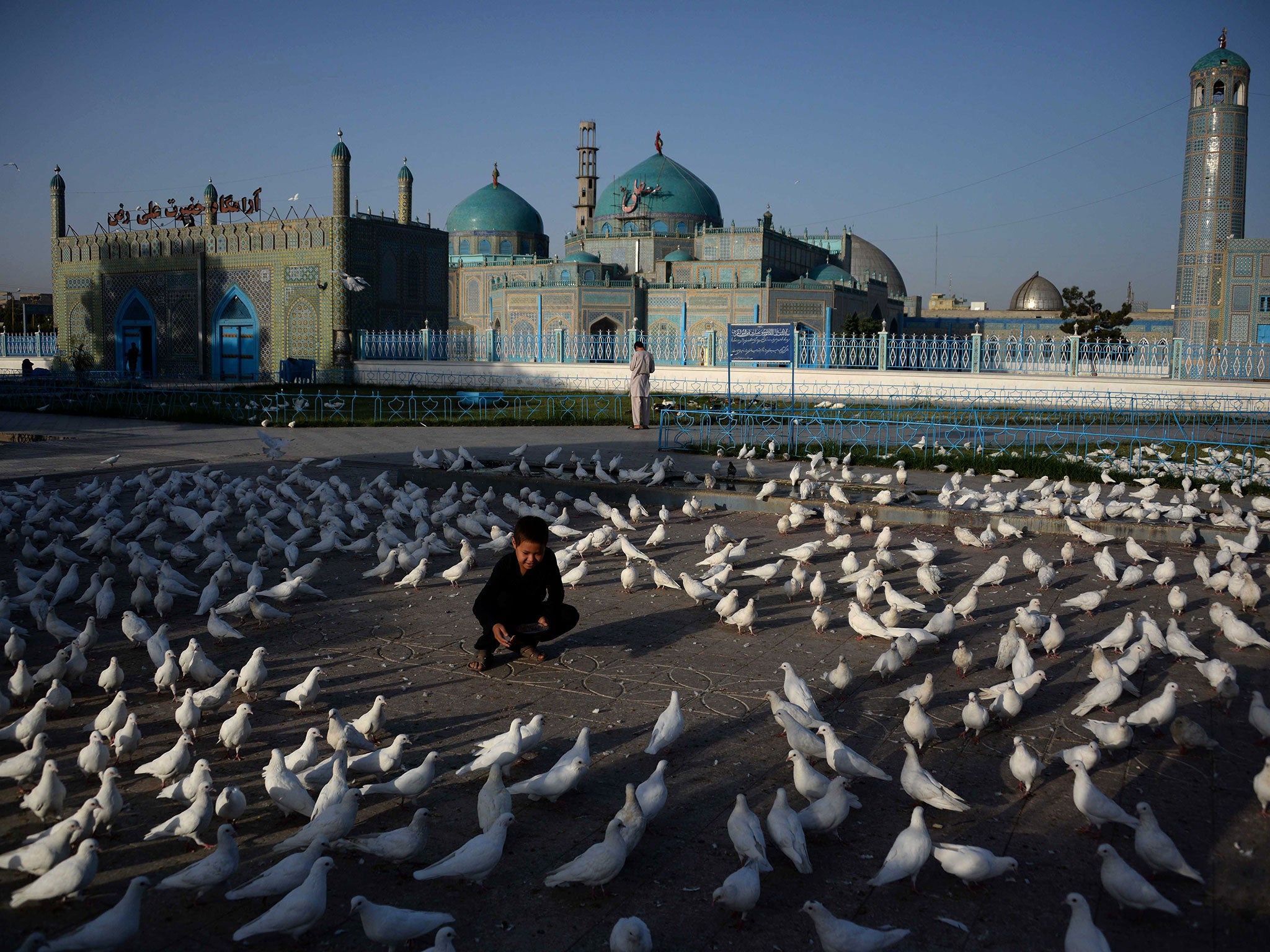 An Afghan boy feeds pigeons at the Hazrat-i- Ali shrine in Mazar-i Sharif on September 12, 2016