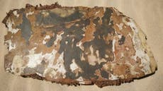 MH370 latest: 'Burnt' panels among five pieces of possible debris from missing jet found on Madagascar