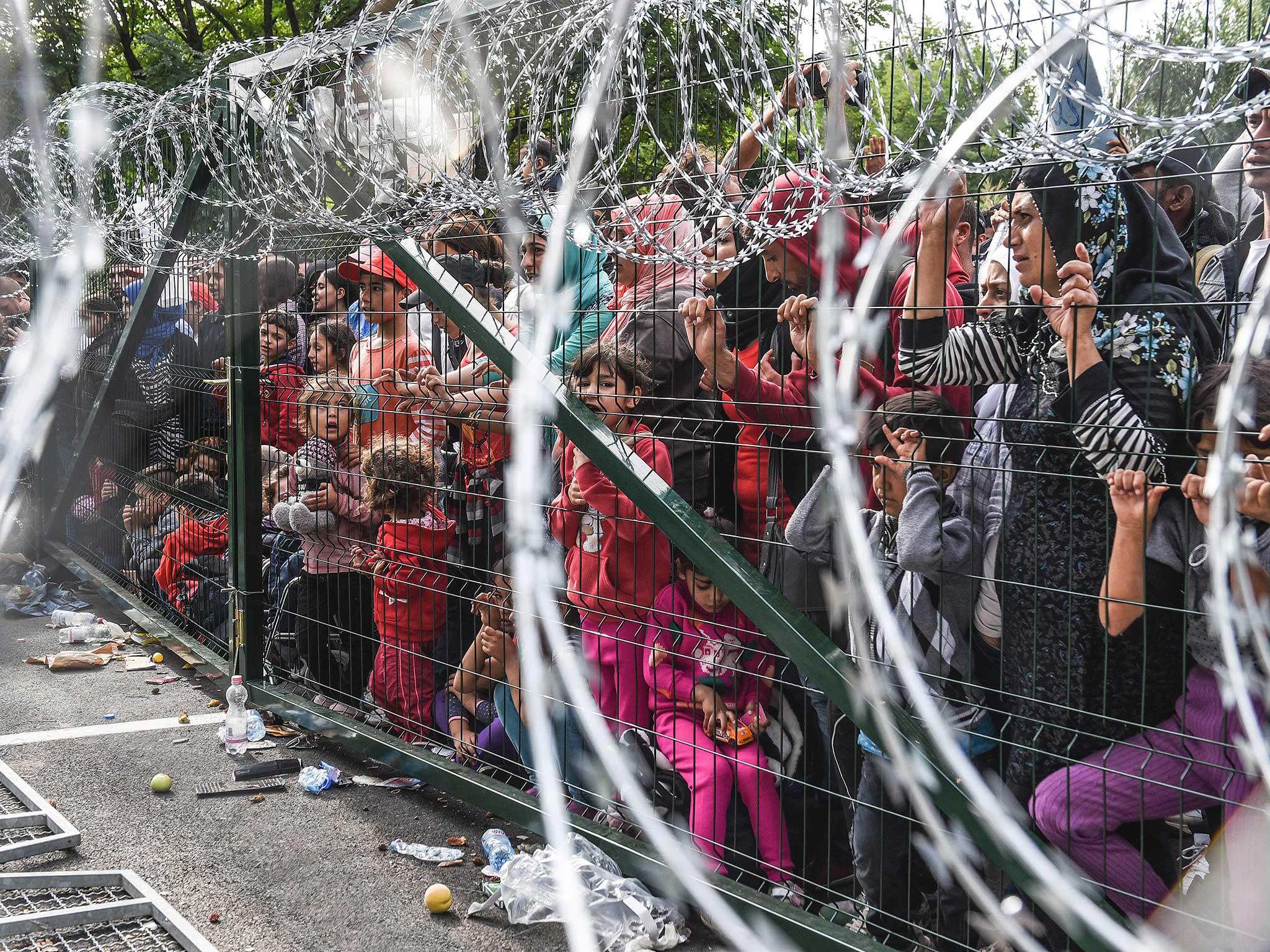 Refugees stand behind a fence at the Hungarian border with Serbia near the town of Horgos