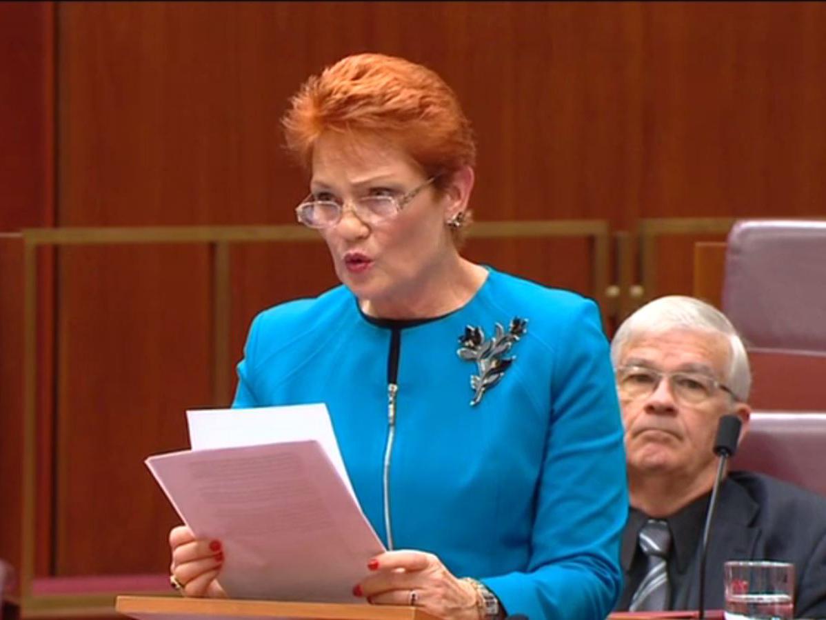 Ms Hanson echoed a speech she made in 1996 when she said 'I believe we are in danger of being swamped by Asians'