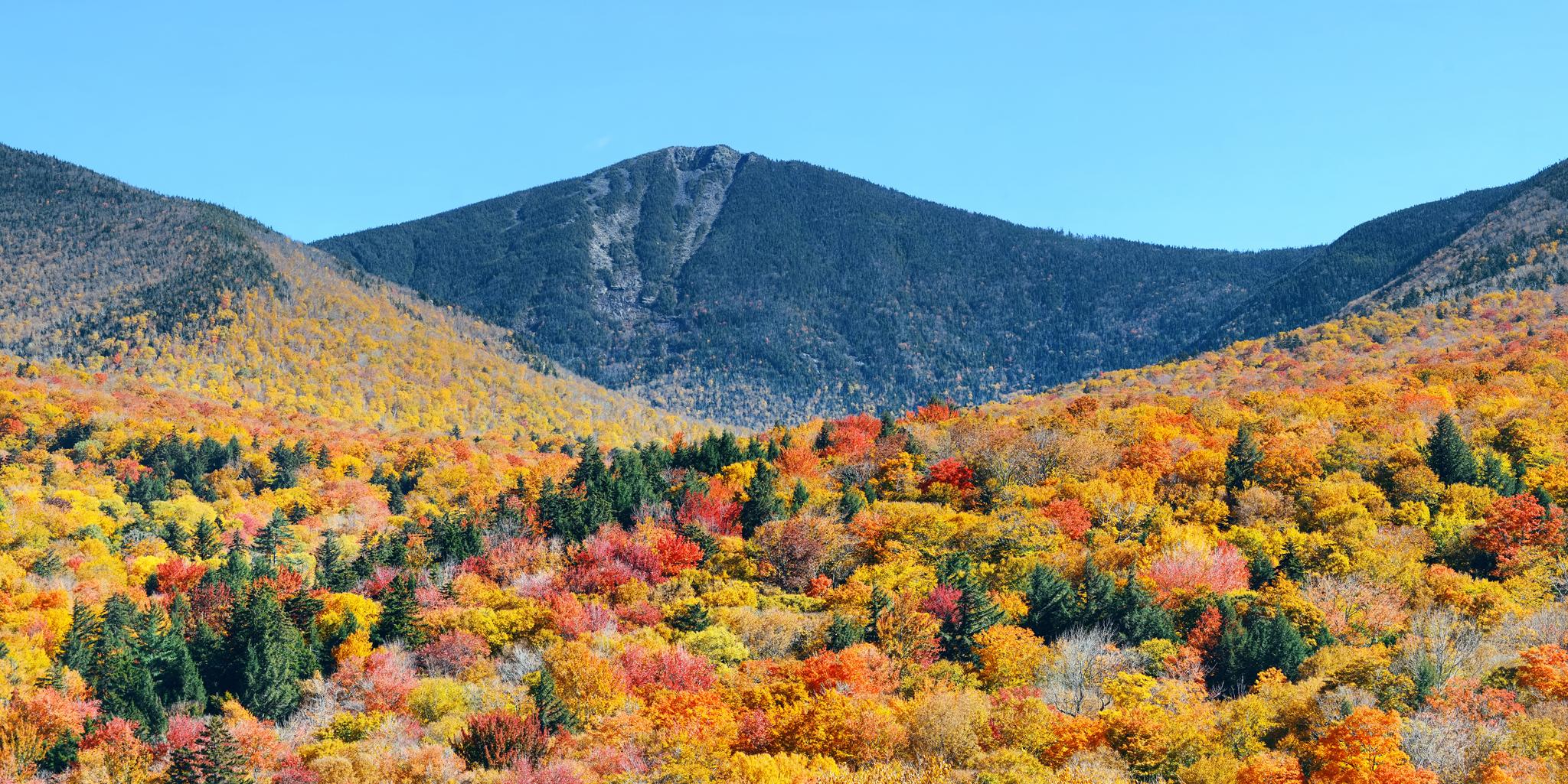 Fall foliage in the White Mountains