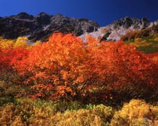 Walking holidays amid the autumn colours, from New England to Japan
