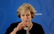Theresa May faces a backlash from MPs loyal to David Cameron 