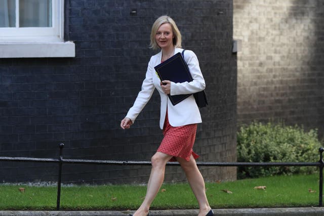 Elizabeth Truss argued that children in particular would benefit from giving evidence in 'a less intimidating environment'