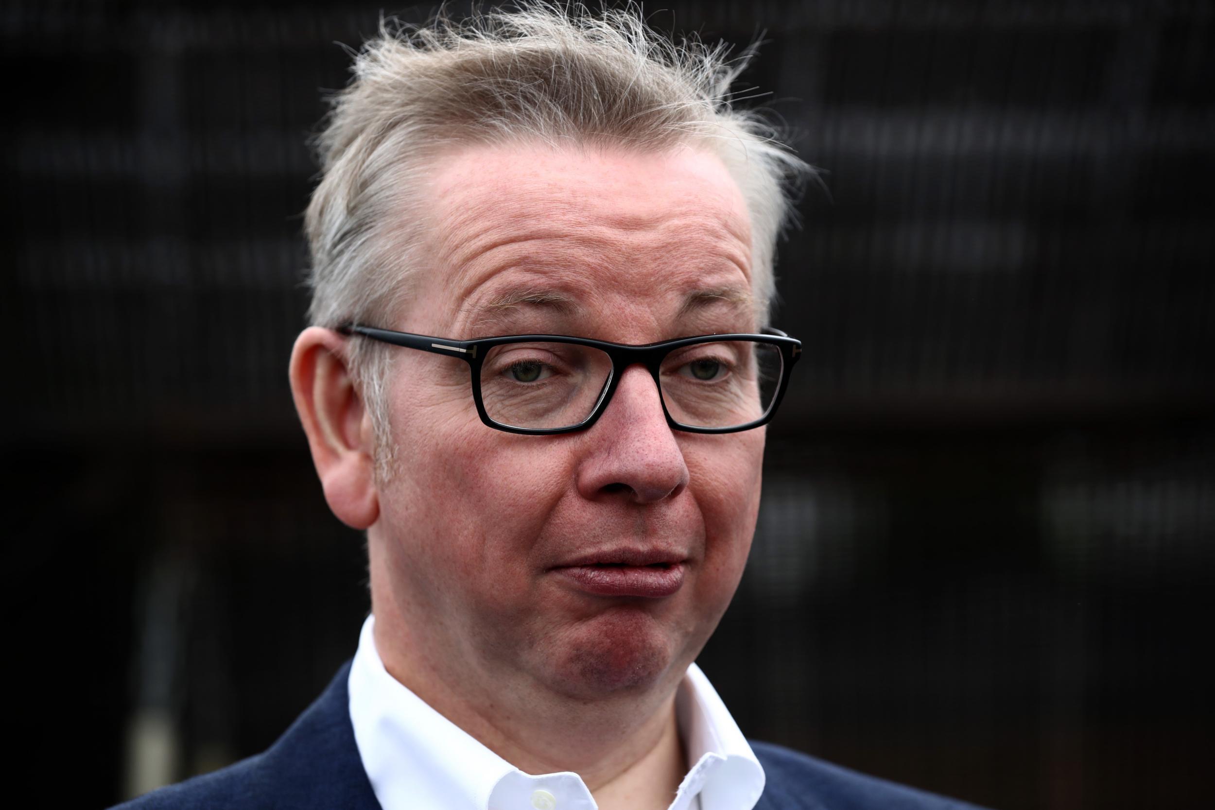 Mr Gove also accused Remain voters of throwing a 'tantrum'