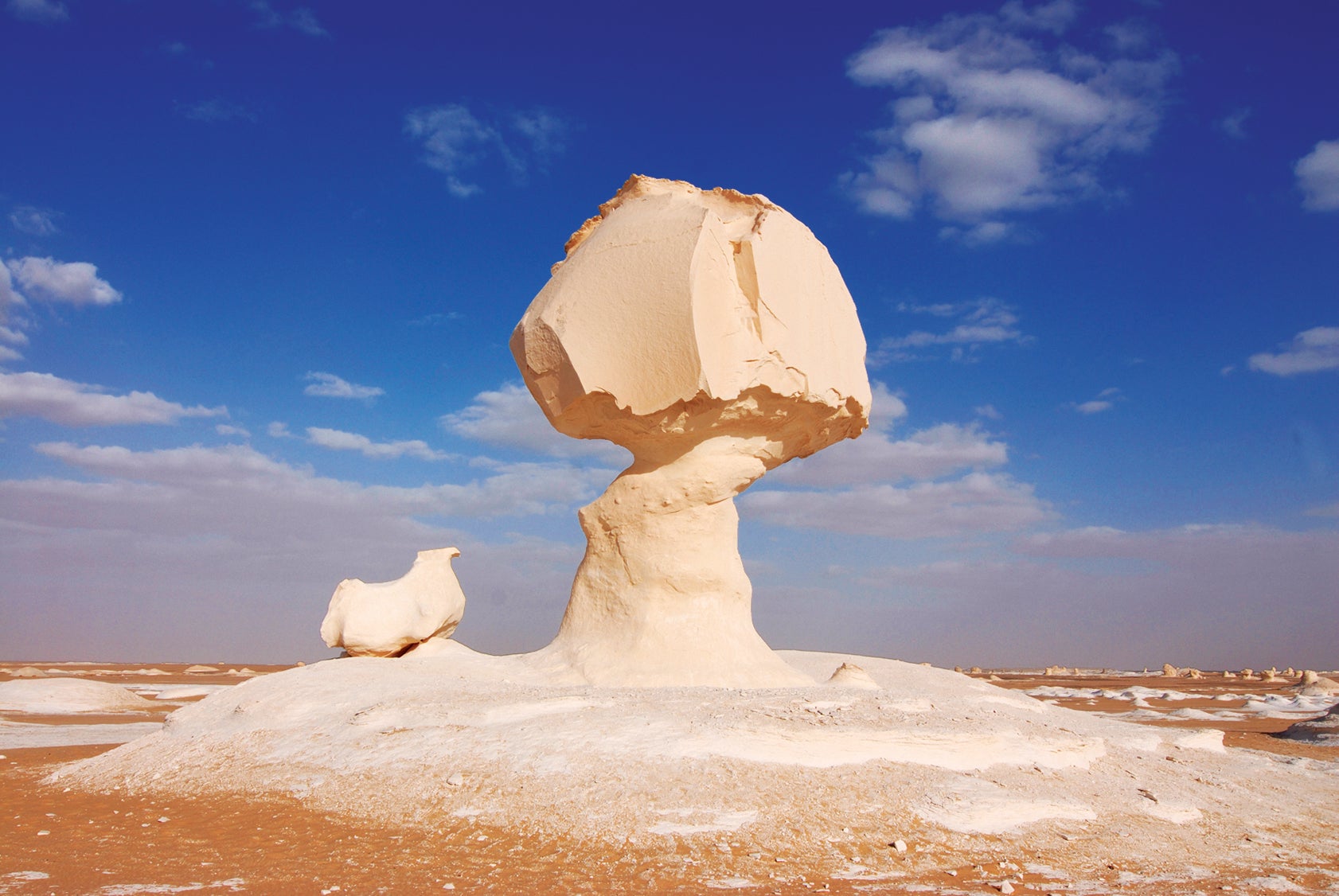 The strange formations of the White Desert resemble eveything from mushrooms to chickens