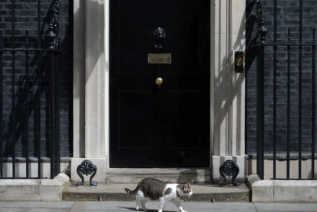 Larry was spotted limping outside Number 10
