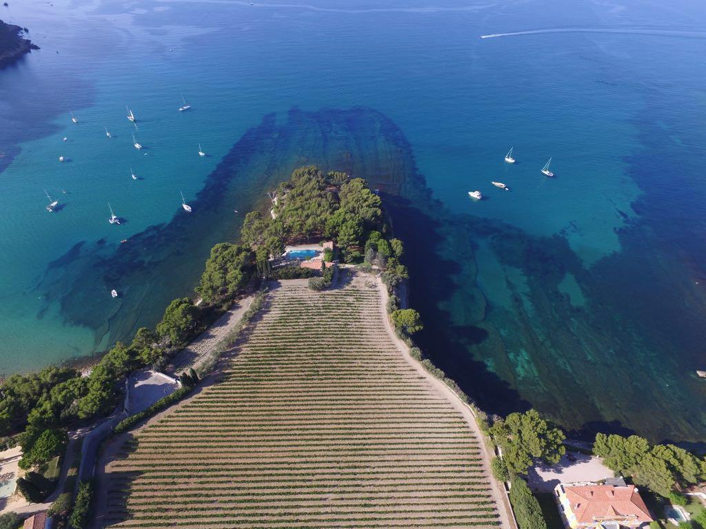 The vines of Clos Sainte Magdeleine cling to the slopes of sea cliffs that plunge into the sea