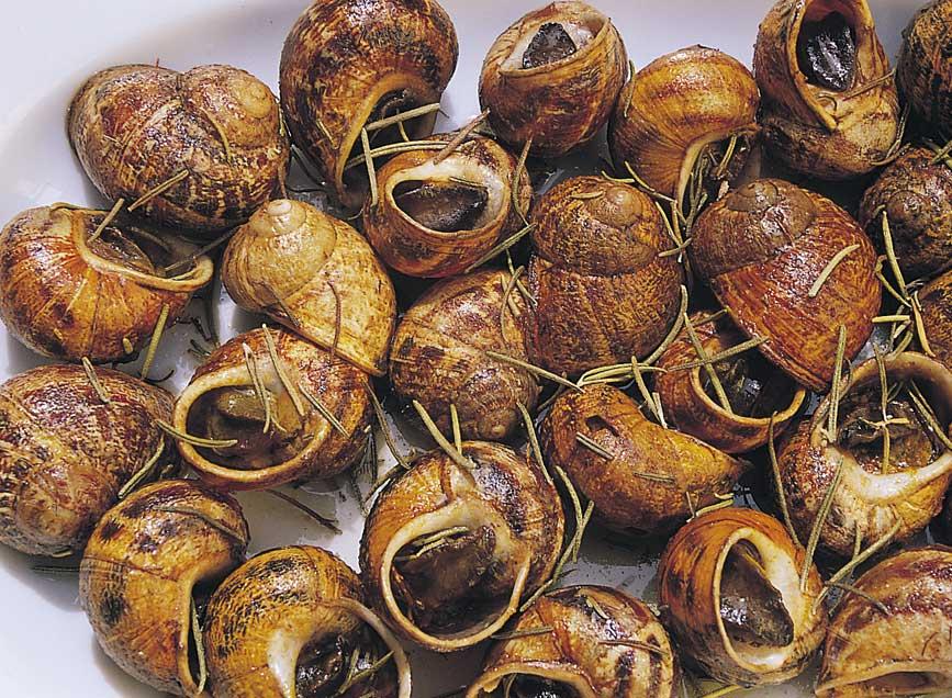 Cretan-style snails with rosemary