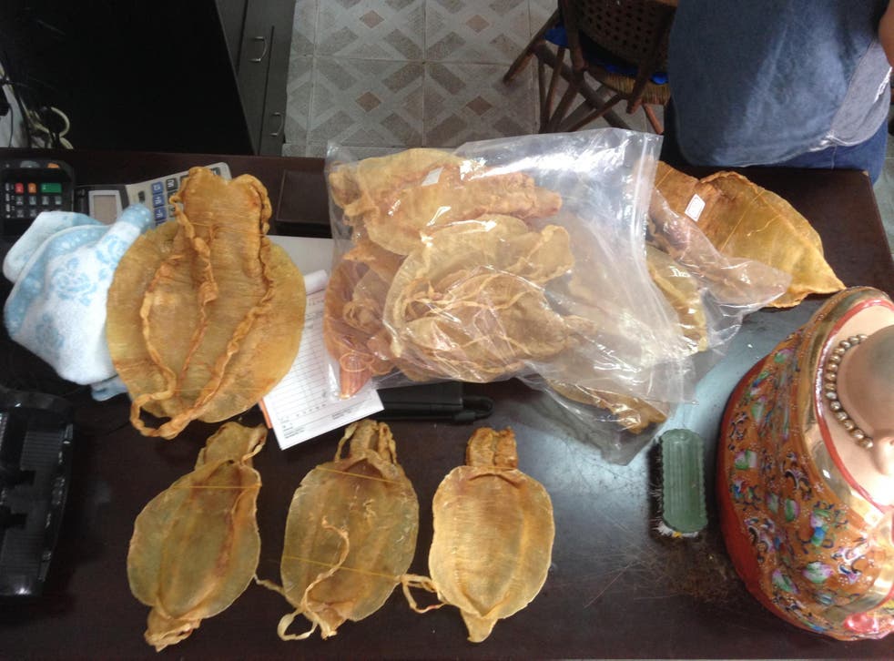 Totoaba swim bladders are offered for sale in Shantou, China