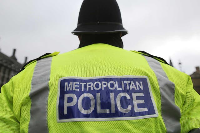 Scotland Yard emphasised that 'no investigation is carried out by one officer alone'