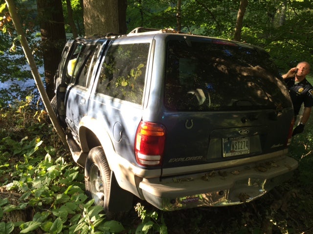 The SUV that was being driven by Mr Bell after hitting a tree