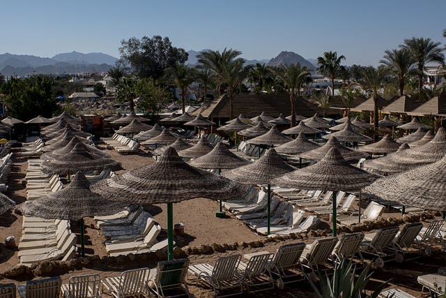 Empty beach chairs are seen at a resort earlier this year in Sharm el-Sheikh