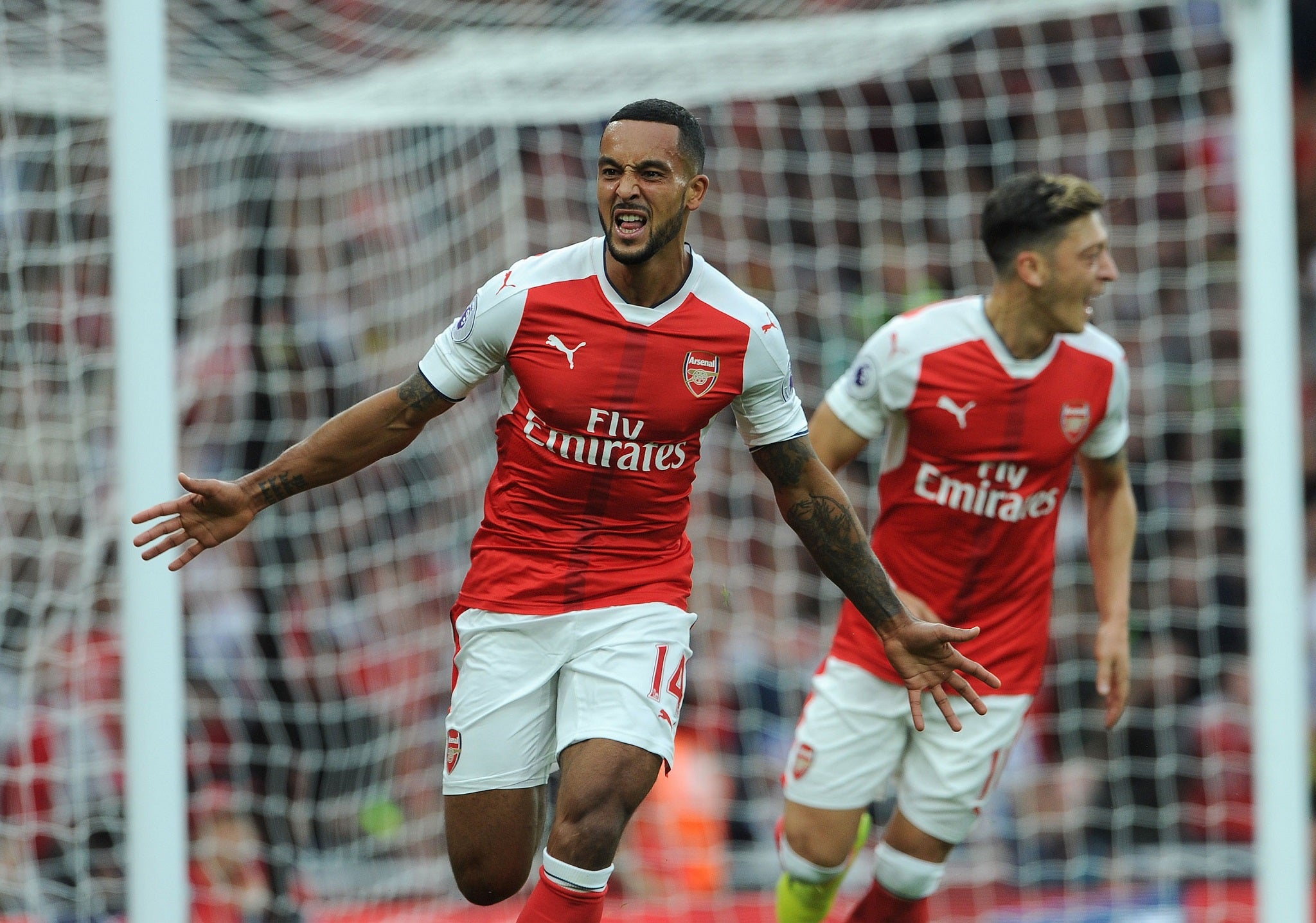 Arsene Wenger believes Theo Walcott is a different player this season because 'he wants to fight'