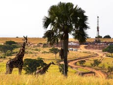Government backs oil well that could wipe out rare giraffe species