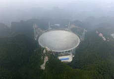 China says giant telescope may have picked up signs of alien life