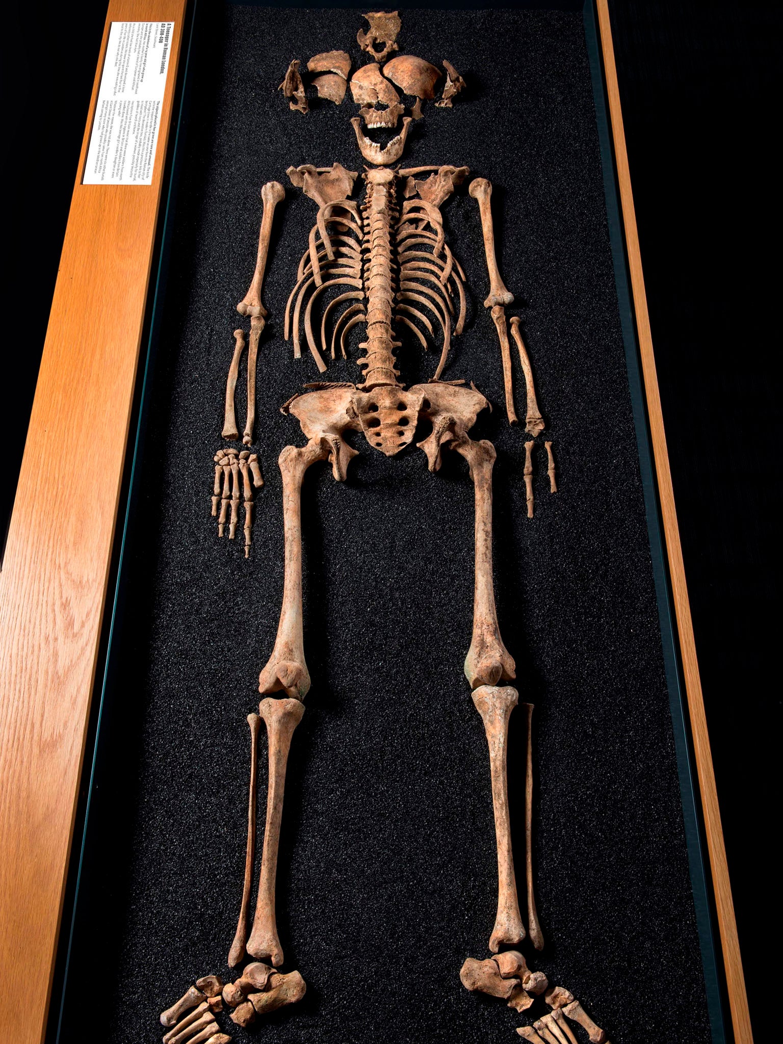 One of the skeletons found at the site in Lant Street, Southwark