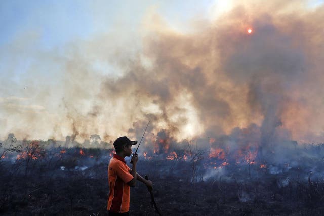Haze from forest fires in Indonesia is estimated to have caused the premature deaths of more than 100,000 people