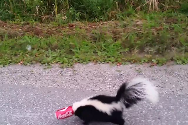 Despite being dressed in his best suit, Canadian Mike McMillan pulled over to help a skunk with his head stuck in a soda can