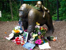 Gorilla escaped London Zoo enclosure in honour of Harambe, social media users say