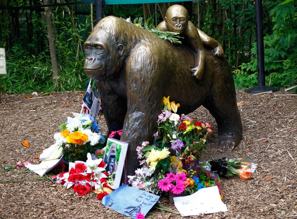 Cincinnati Zoo patrons memorialise Harambe