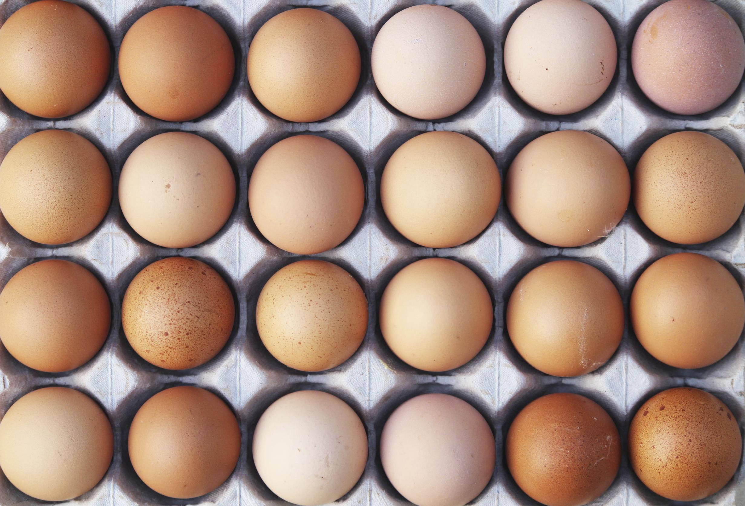 Free range egg packs will now temporarily carry stickers from 1 March, informing consumers that the eggs have been laid by hens currently kept in barns