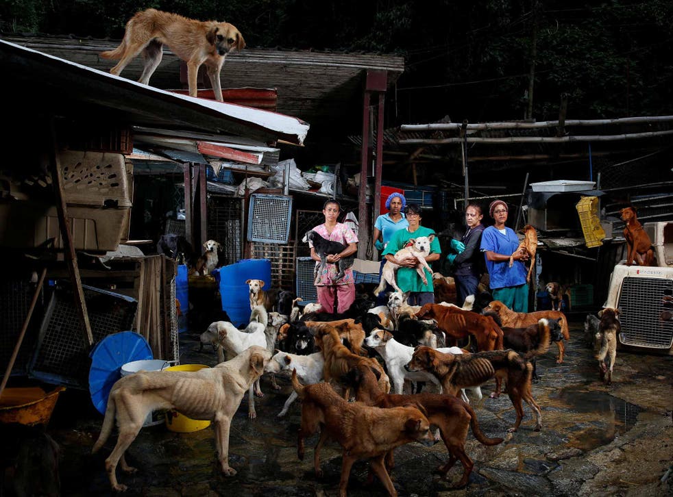 Staff pose with rescue dogs at the Famproa shelter outside Caracas in Venezuela