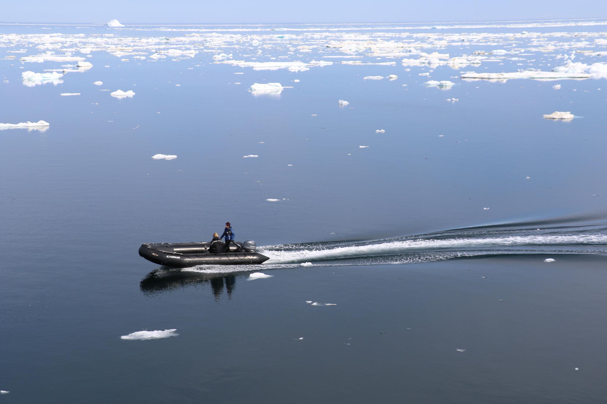 A Zodiac glides across the water