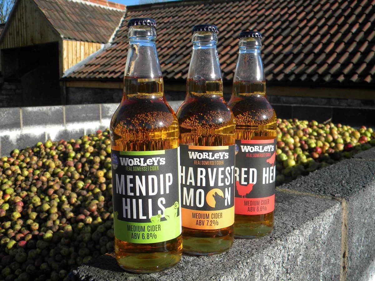 10 best Somerset ciders