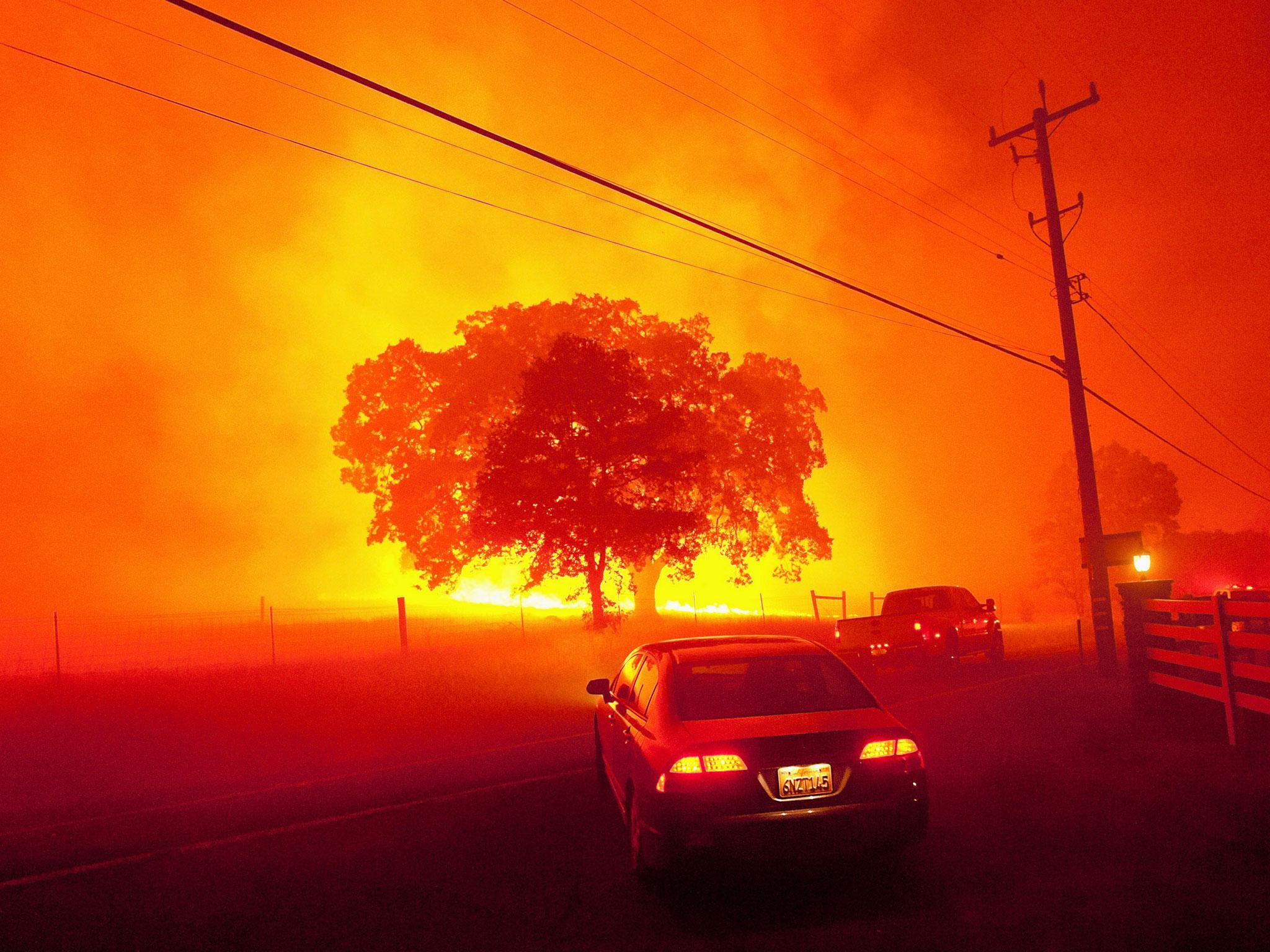 A raging wildfire closes in on a tree as people flee near Clayton, California, in 2016