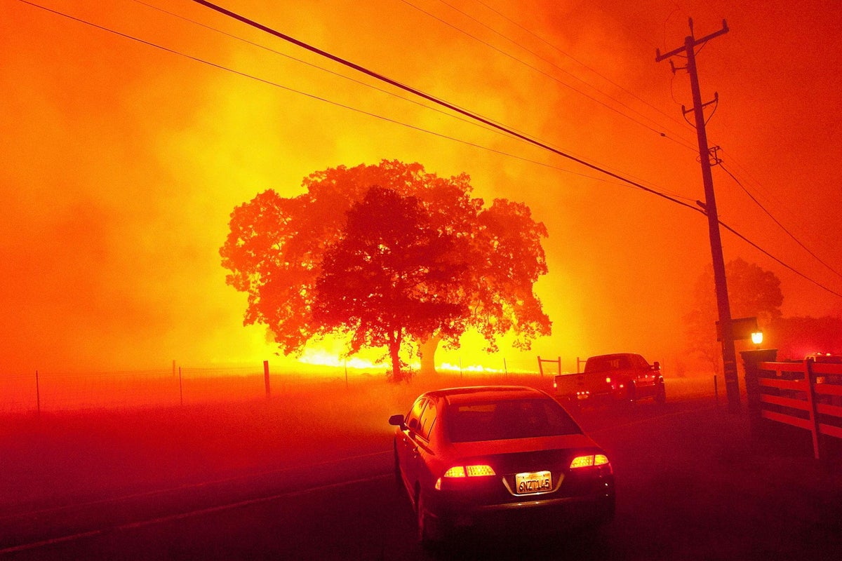 Climate change: Nearly 700 'natural thermometers' demonstrate the world ...