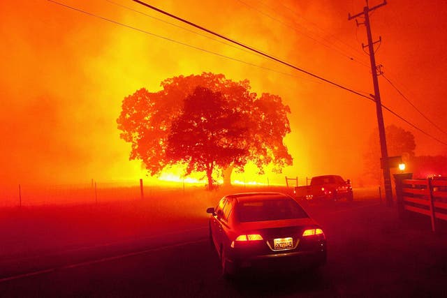 A raging wildfire closes in on a tree as people flee near Clayton, California