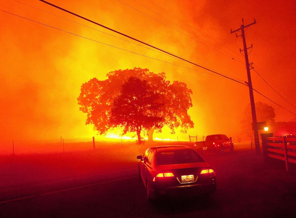 A raging wildfire closes in on a tree as people flee near Clayton, California