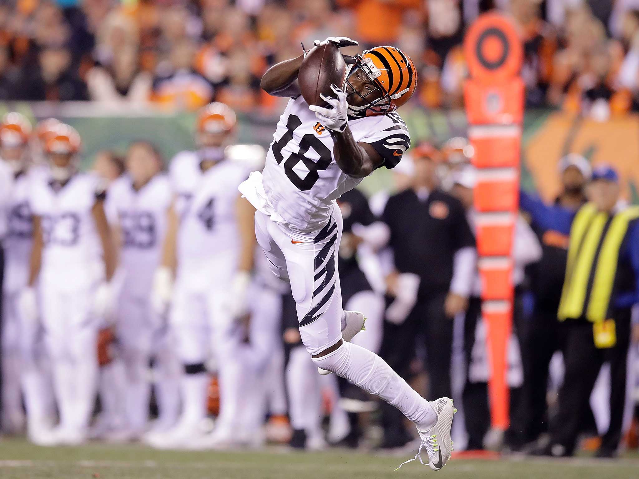 AJ Green catches a pass during the second quarter