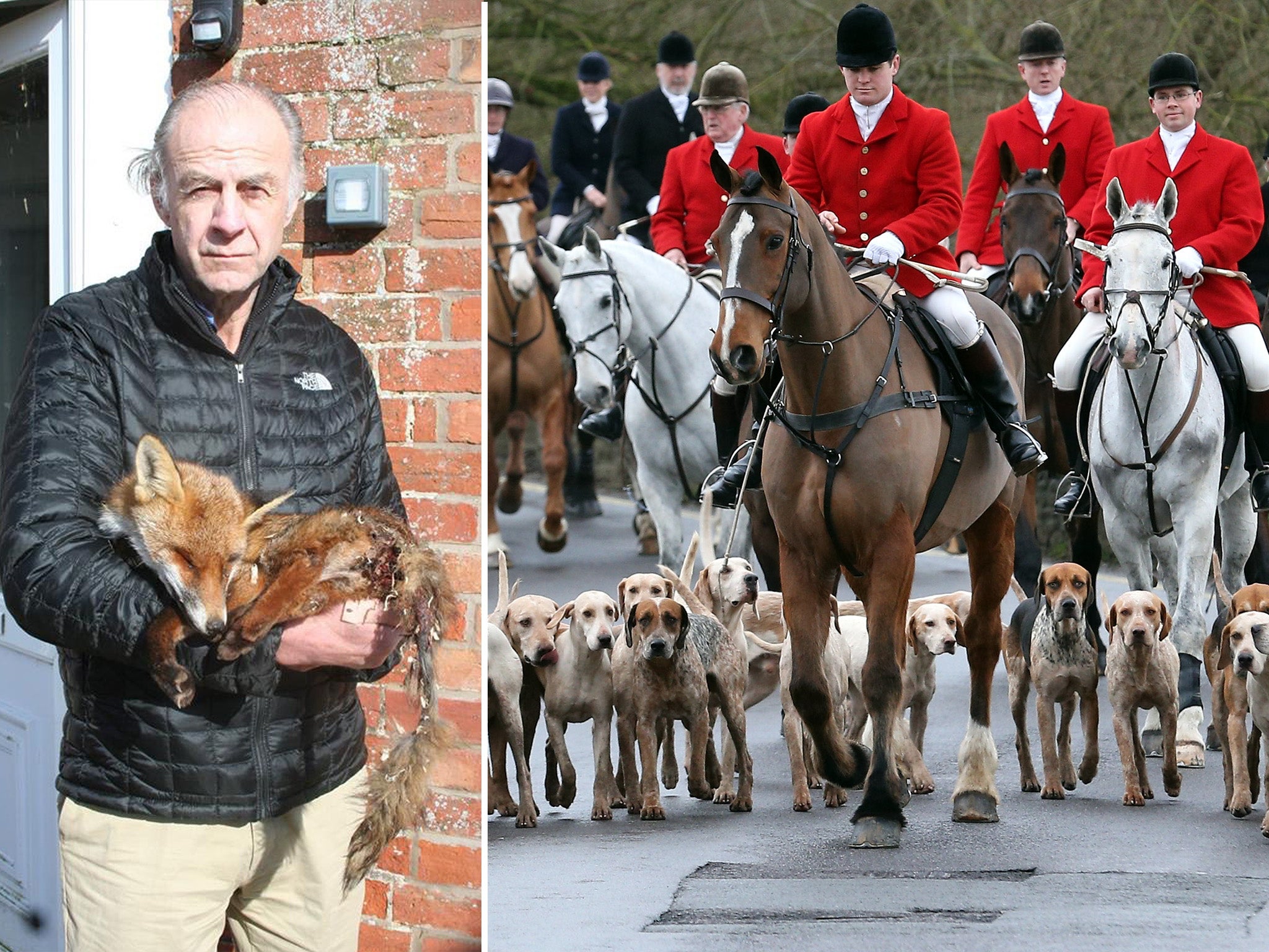 Sir Ranulph changed his mind on fox hunting after finding an injured fox on his farm