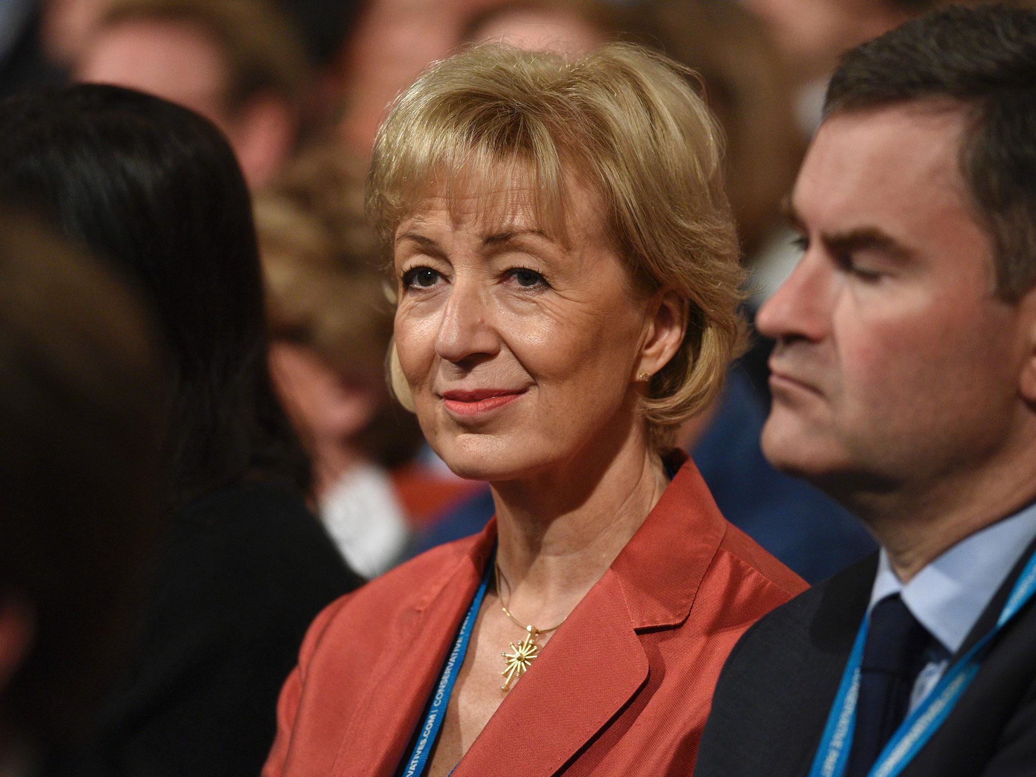 Ms Leadsom faced social media backlash after suggesting young Britons take up fruit-picking jobs