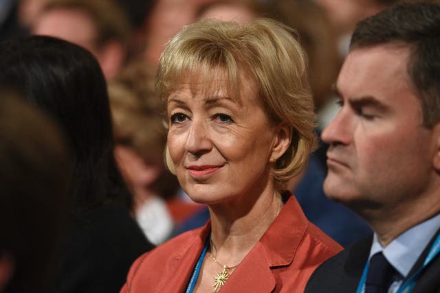 Ms Leadsom faced social media backlash after suggesting young Britons take up fruit-picking jobs 