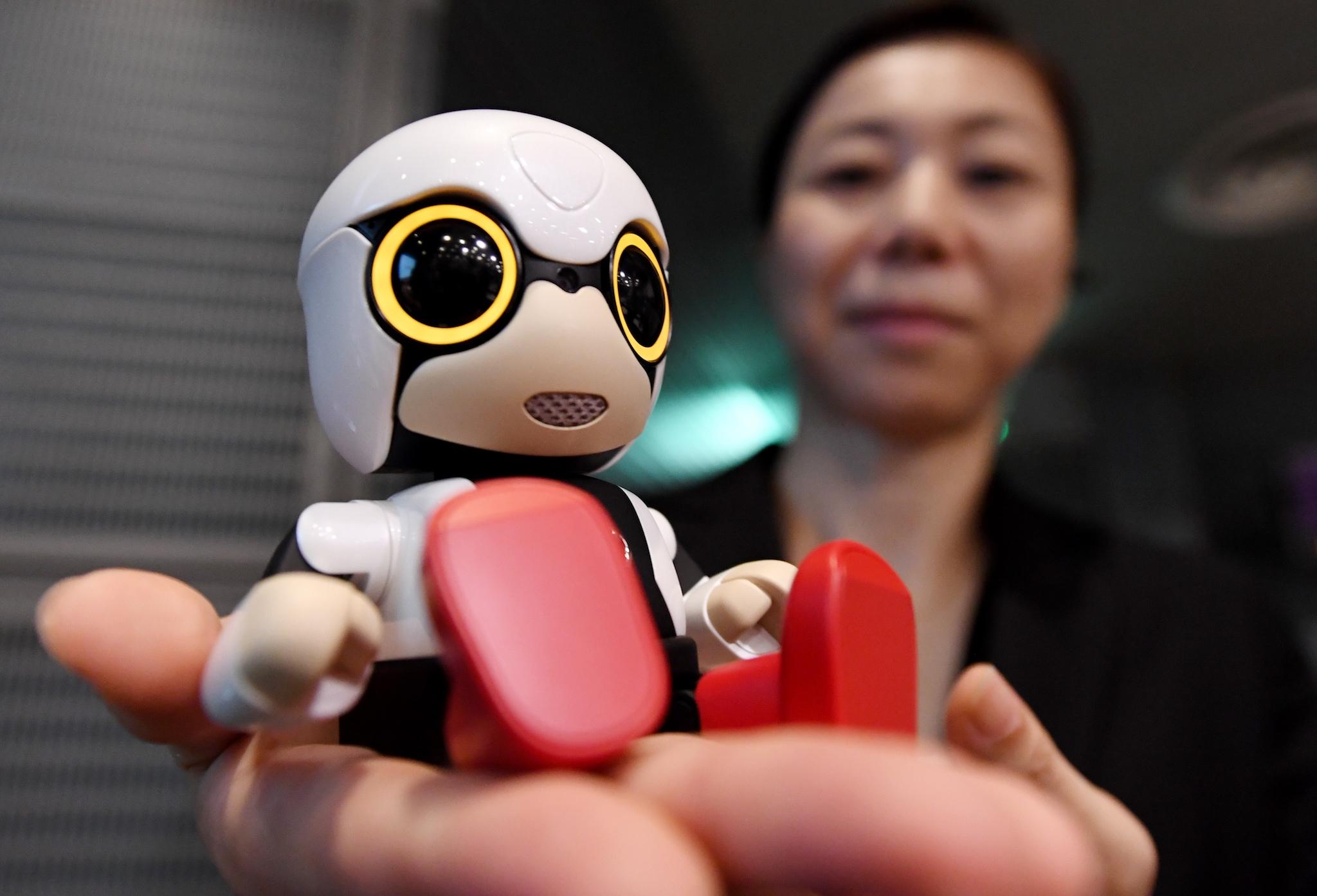 This picture taken on September 27, 2016 shows a Toyota employee displaying the company's new communication robot 'Kirobo Mini' during a press preview in Tokyo