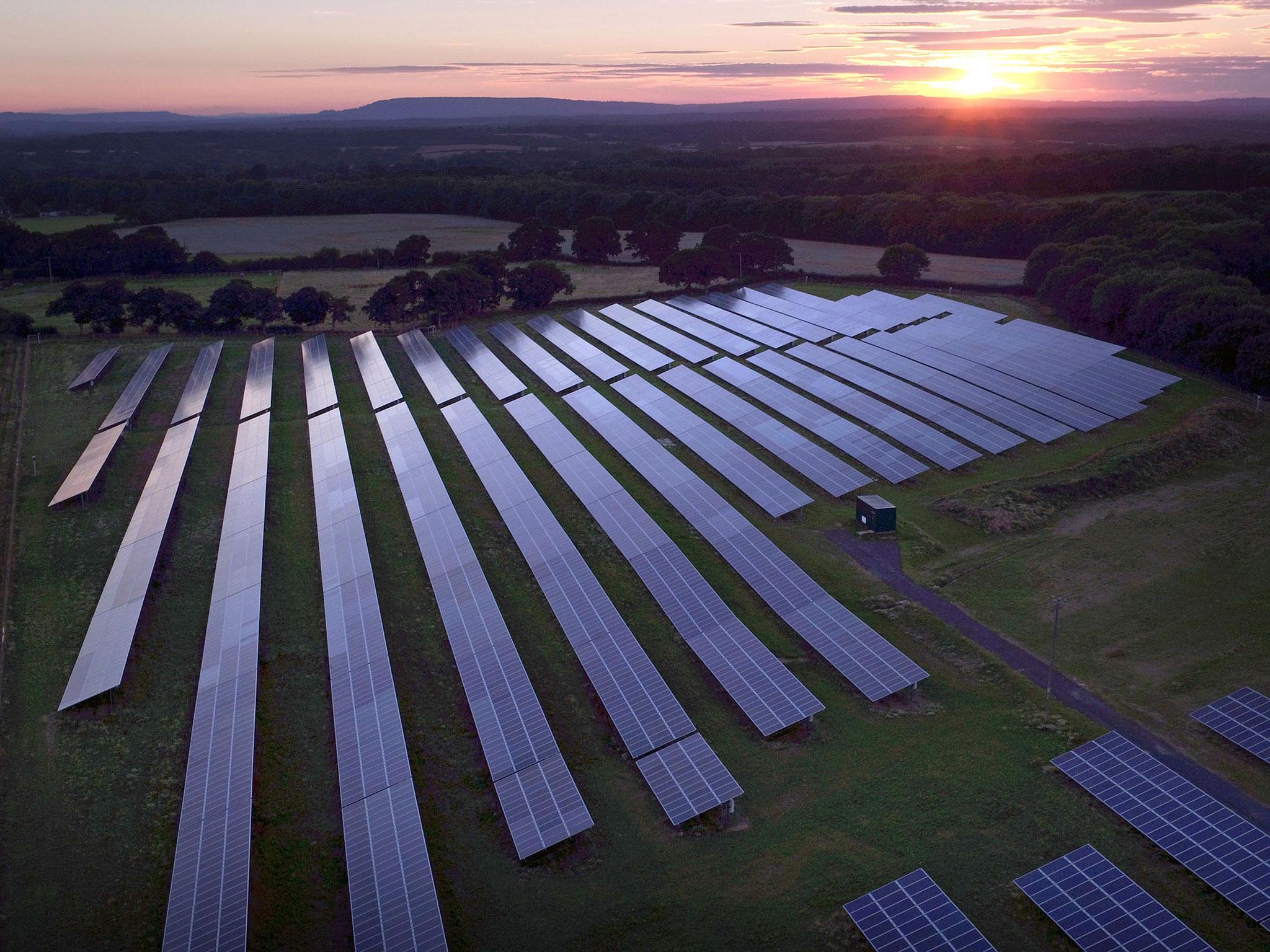 Solar panels in a field near Five Oaks, west Sussex.