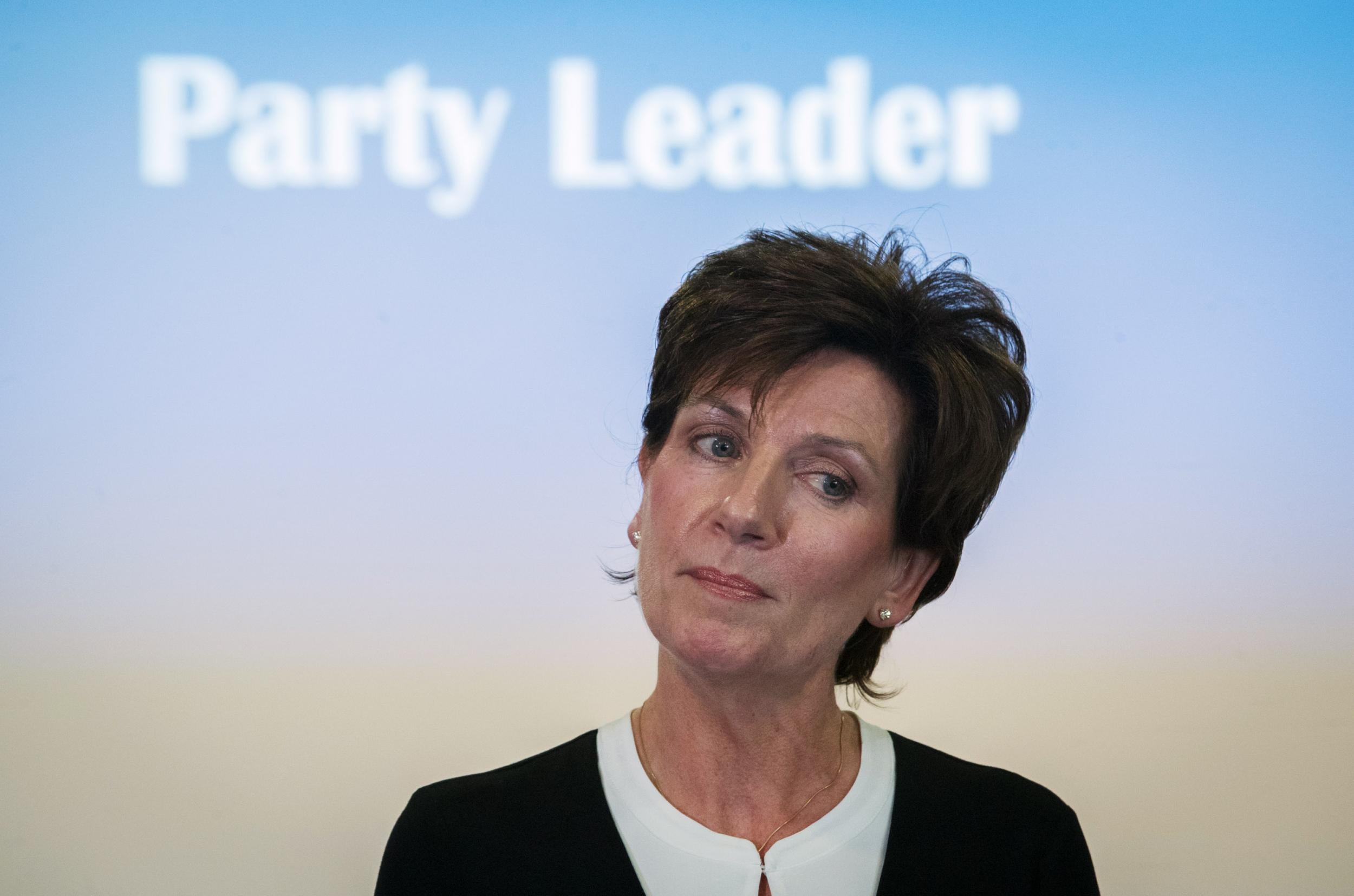 MEP Diane James, the new leader of UKIP