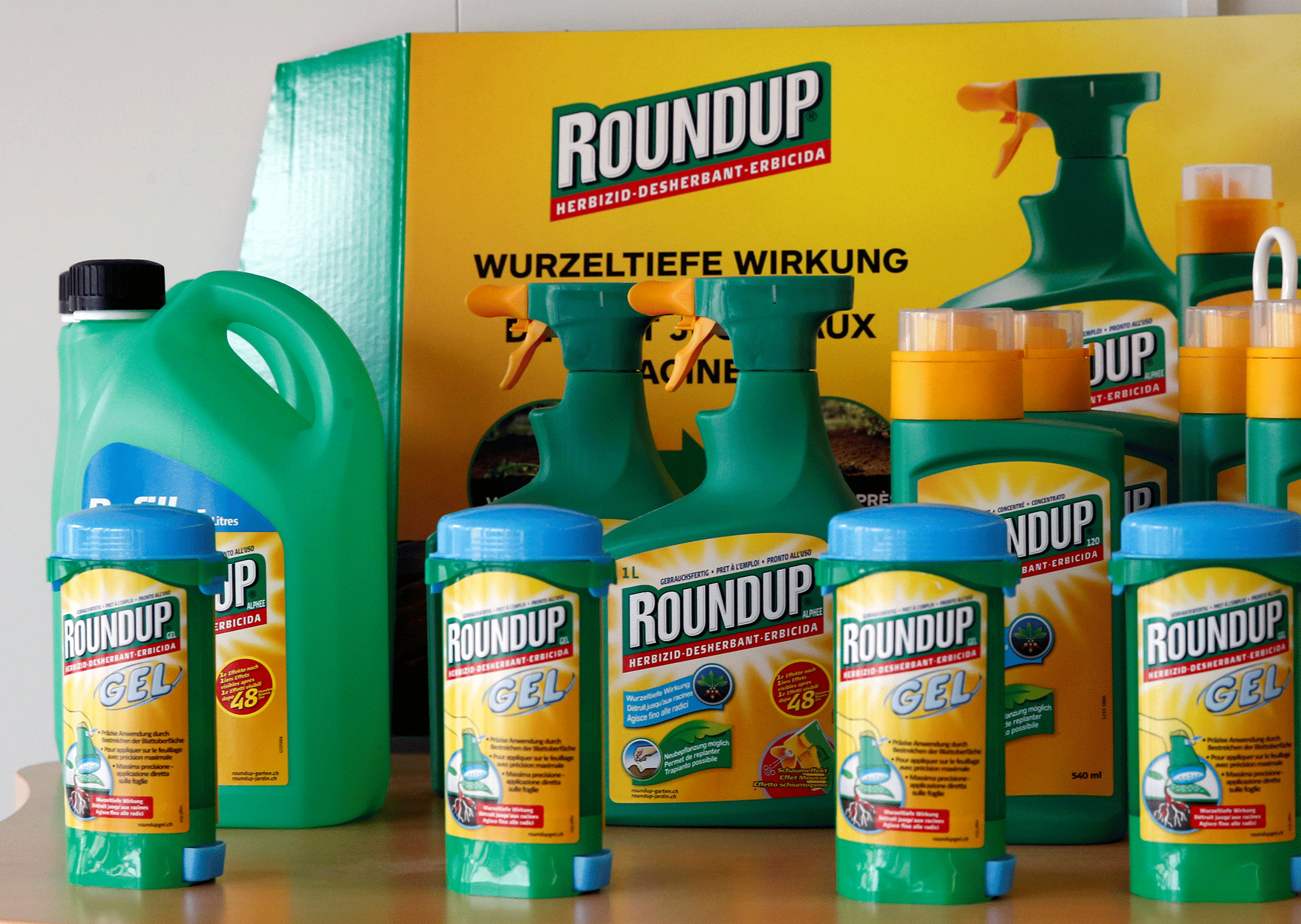 Monsanto's controversial Glyphosate pesticide, Roundup - the firm has patented crops resistant to the chemical