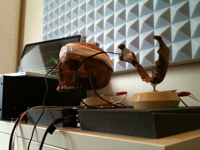The skull during recording, when its teeth were still intact