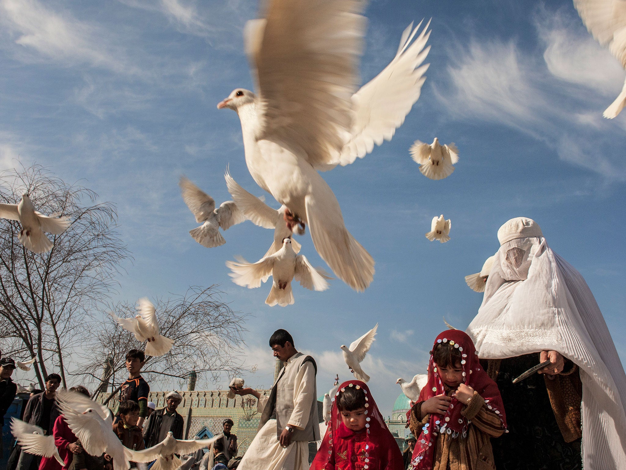 A woman in a white burqa enjoys an afternoon with her family feeding the white pigeons at the Blue Mosque. (Mazar-e-Sharif, March 8, 2008)