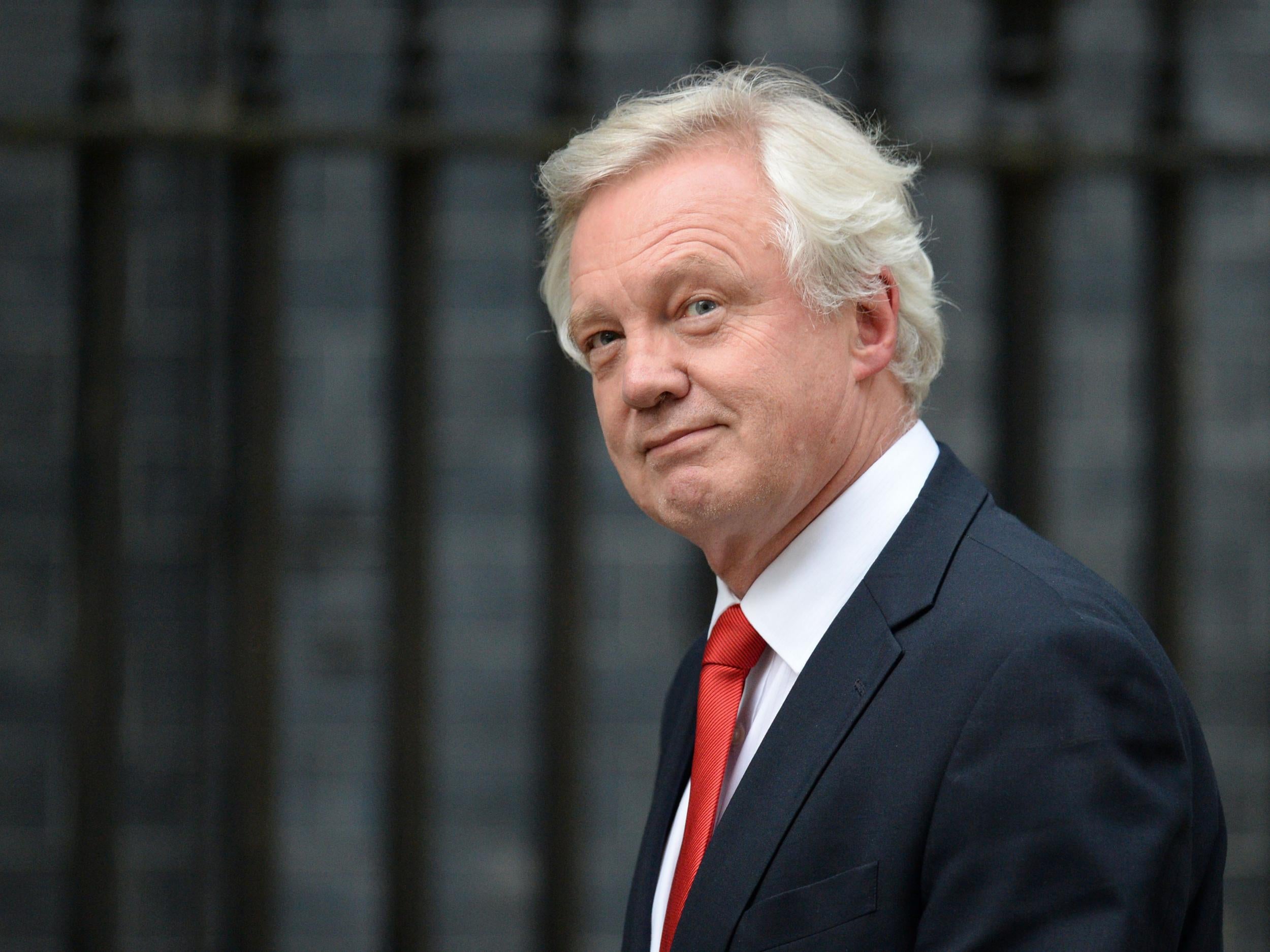 Downing Street insists David Davis has not revealed any Brexit policy shifts